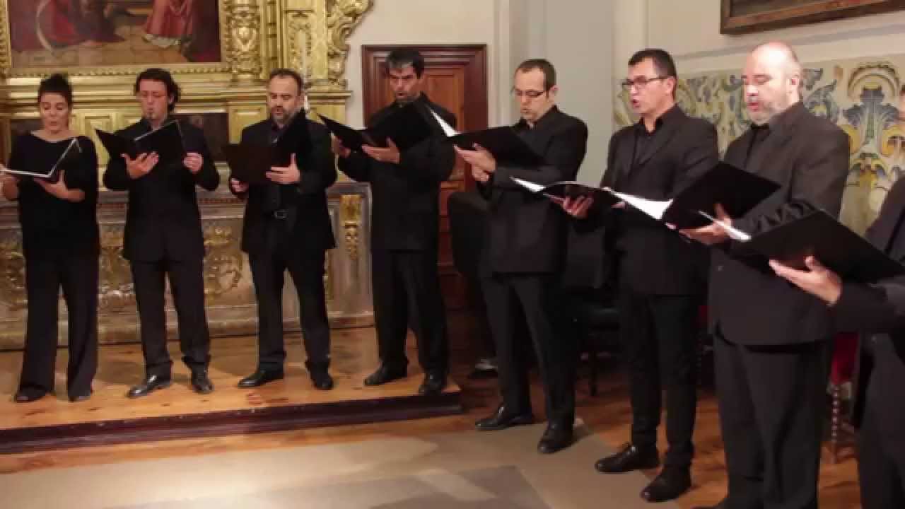 Caligaverunt oculi mei (Tomás Luis de Victoria) - Victoria Musicae