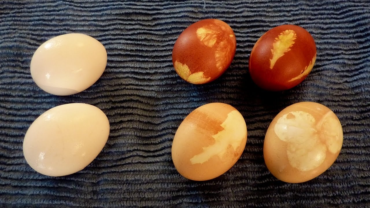 DIY Natural Egg Dye Recipe
