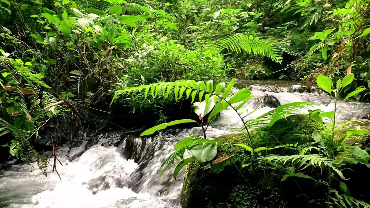 Quiet Mountain River to help Mood Boost & Yoga