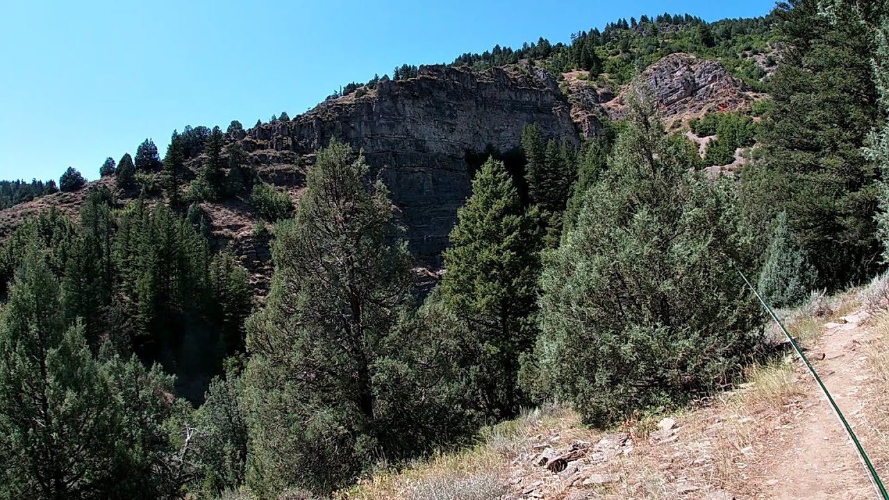 Fly Fishing the Logan River (Utah) - Hoppers!