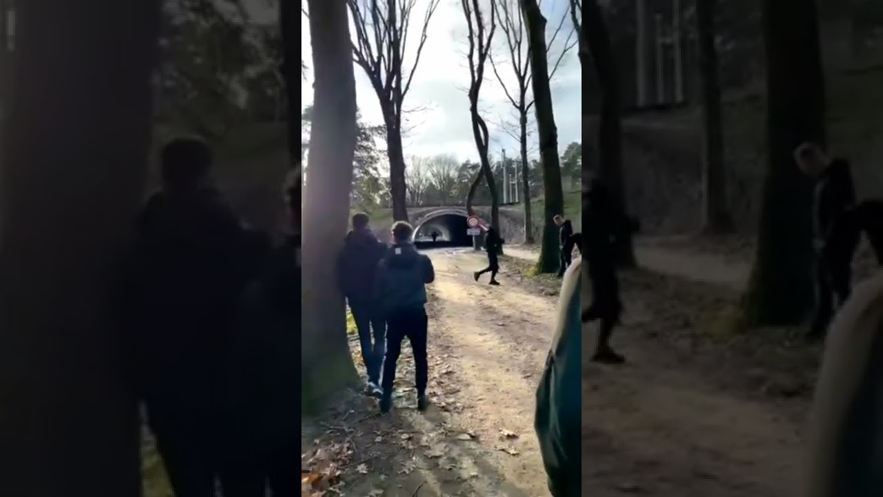 Dutch fireworks be like