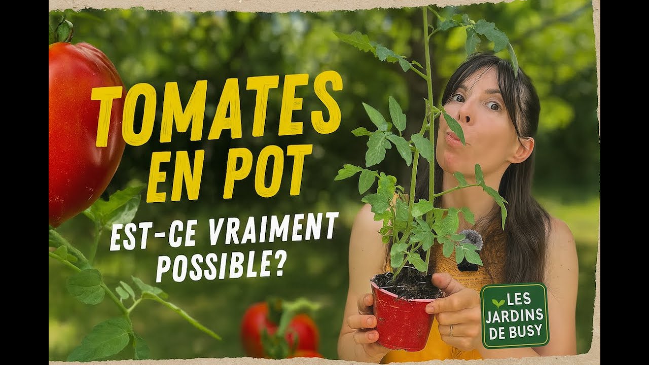 Cultiver des tomates en pot ?! Ce qu’on ne vous dit jamais… 🍅💥