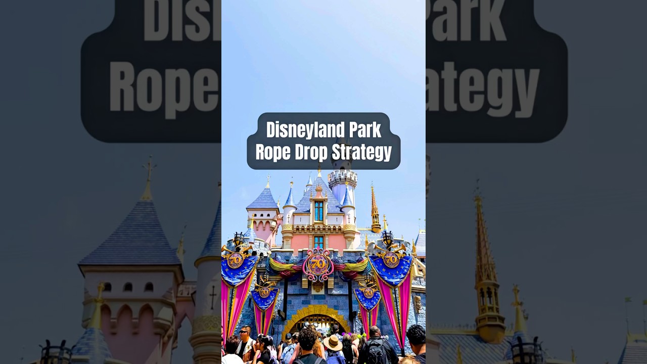Стратегия прыжка с каната в Диснейленде✨🏰 #disneyland #disneytipsandtricks #disneytips #disneytrip