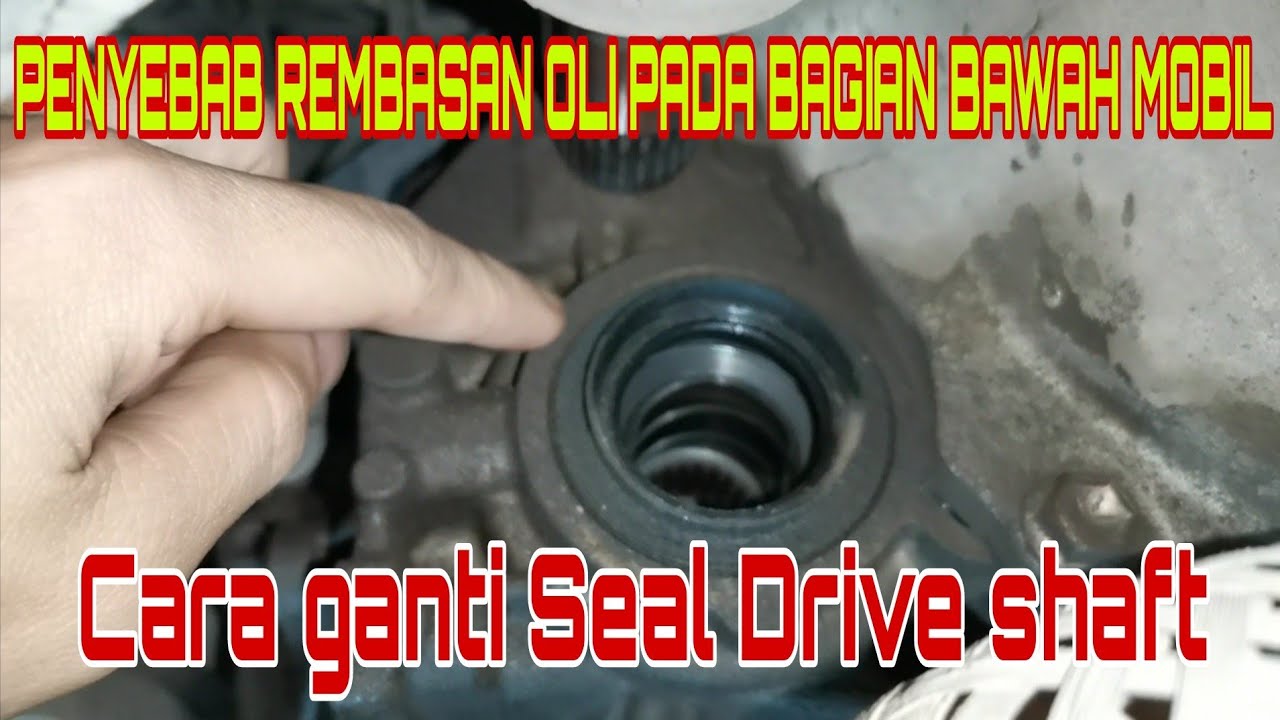 Ganti drive shaft seal