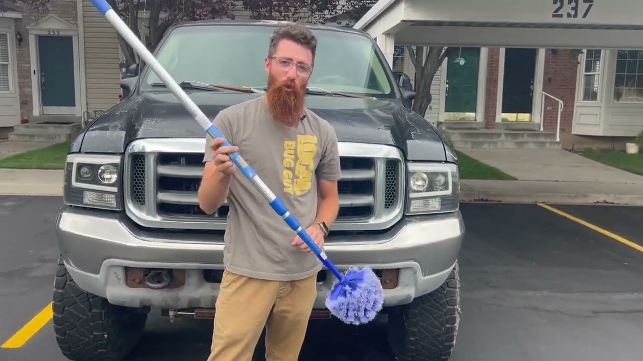 DIY Pest Control- how to get rid of black widows