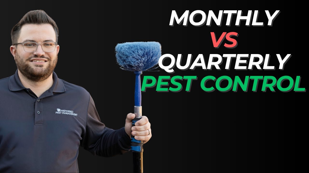 Pest Control Richardson, TX: Monthly vs Quarterly Pest Control - Which is Better?