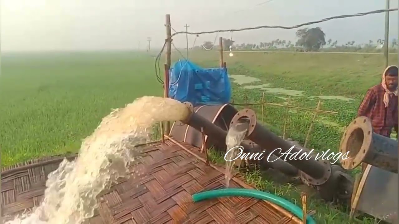 বানিয়াচং হাওরে সুন্দর সকাল মাশাআল্লাহ