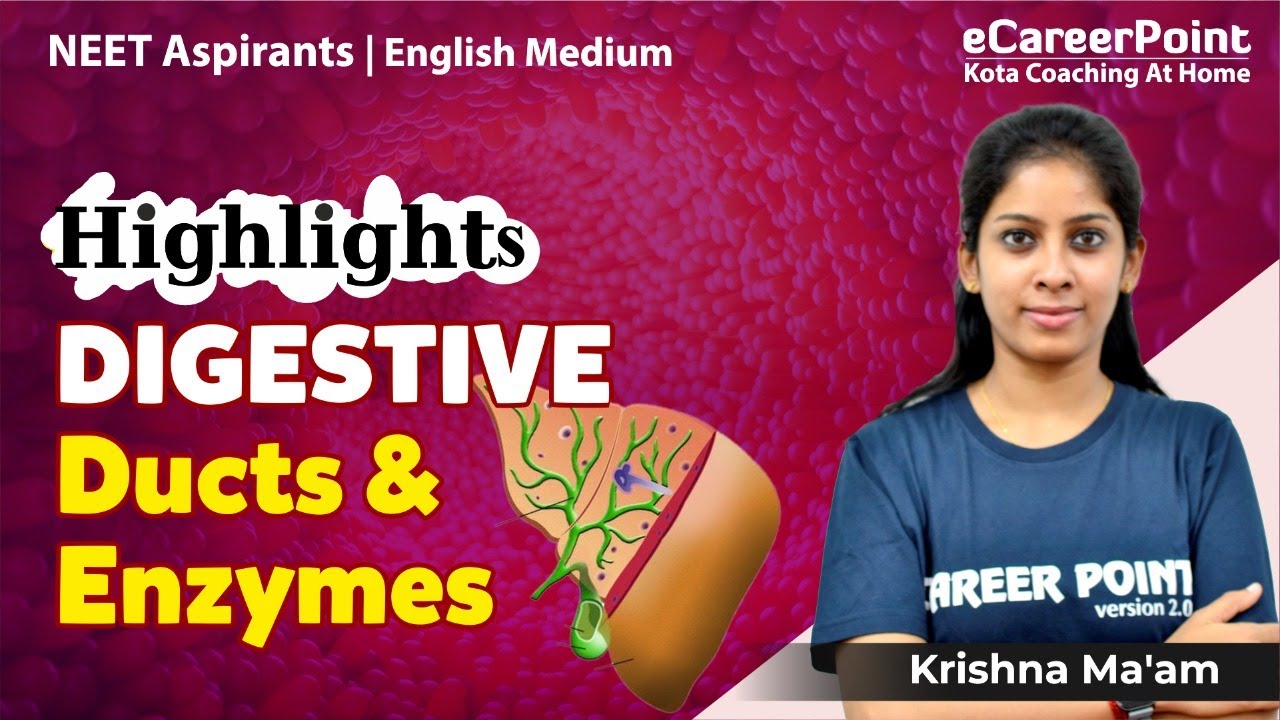 Digestive Ducts & Enzymes | Highlights | NEET Biology | Krishna Ma'am @eCareerPointEnglishMedium