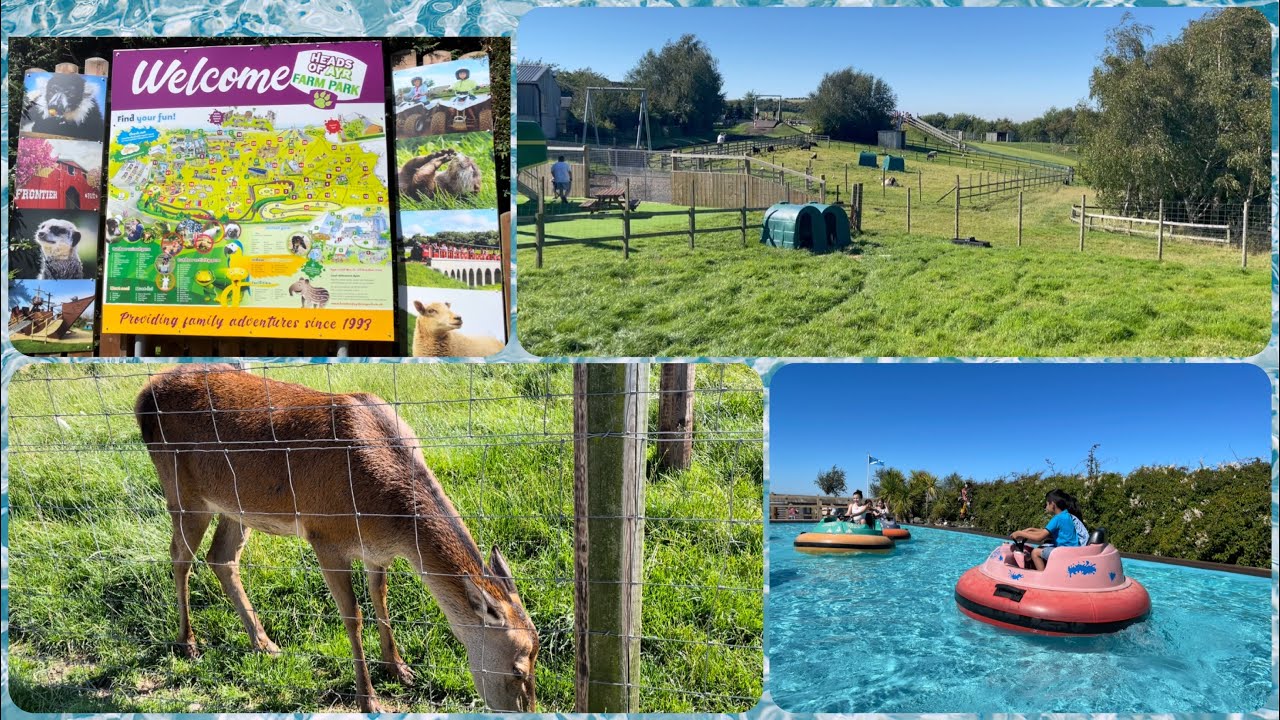 Heads Of Ayr Farm Park, #Ayr - Wildlife and Animals | Family Visit | Scotland | Manoo Creations