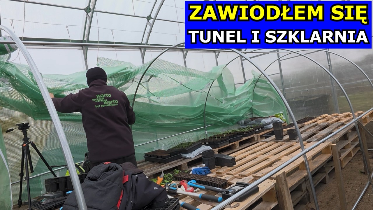 Usuwam Tunel - to BYŁ BŁĄD. Szklarnia z Poliwęglanu czy Kupiłbym Znowu. Nie tego się spodziewałem.