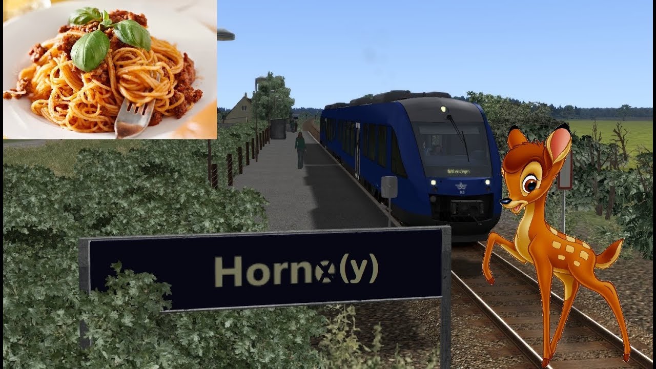 TS2017 live med NJ & Arriva Lint, DSB Desiro og SJ X2000