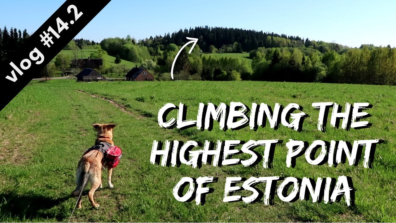 CLIMBING THE HIGHEST POINT OF ESTONIA // Hiking Through Estonia vlog #14.2