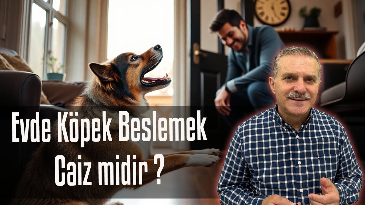 Evde Köpek Beslemek Caiz midir ? - Dr. Cemal Külünkoğlu          #shorts #youtubevideo