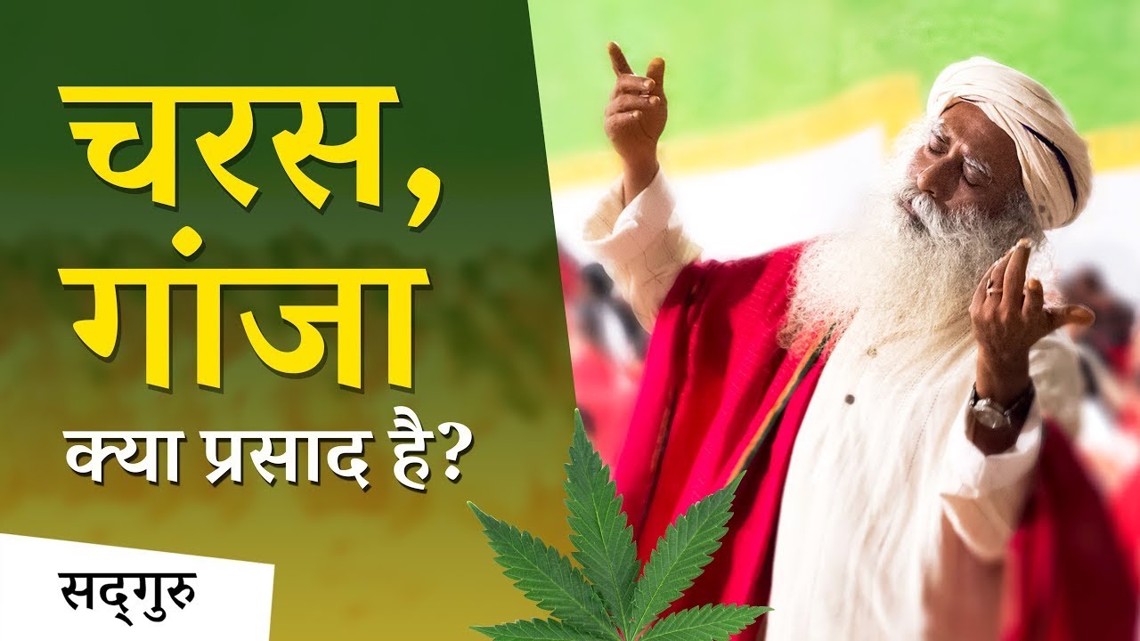 भांग, गांजा और चरस - ये प्रसाद हैं या परेशानी की शुरुआत? Sadguru Hindi |