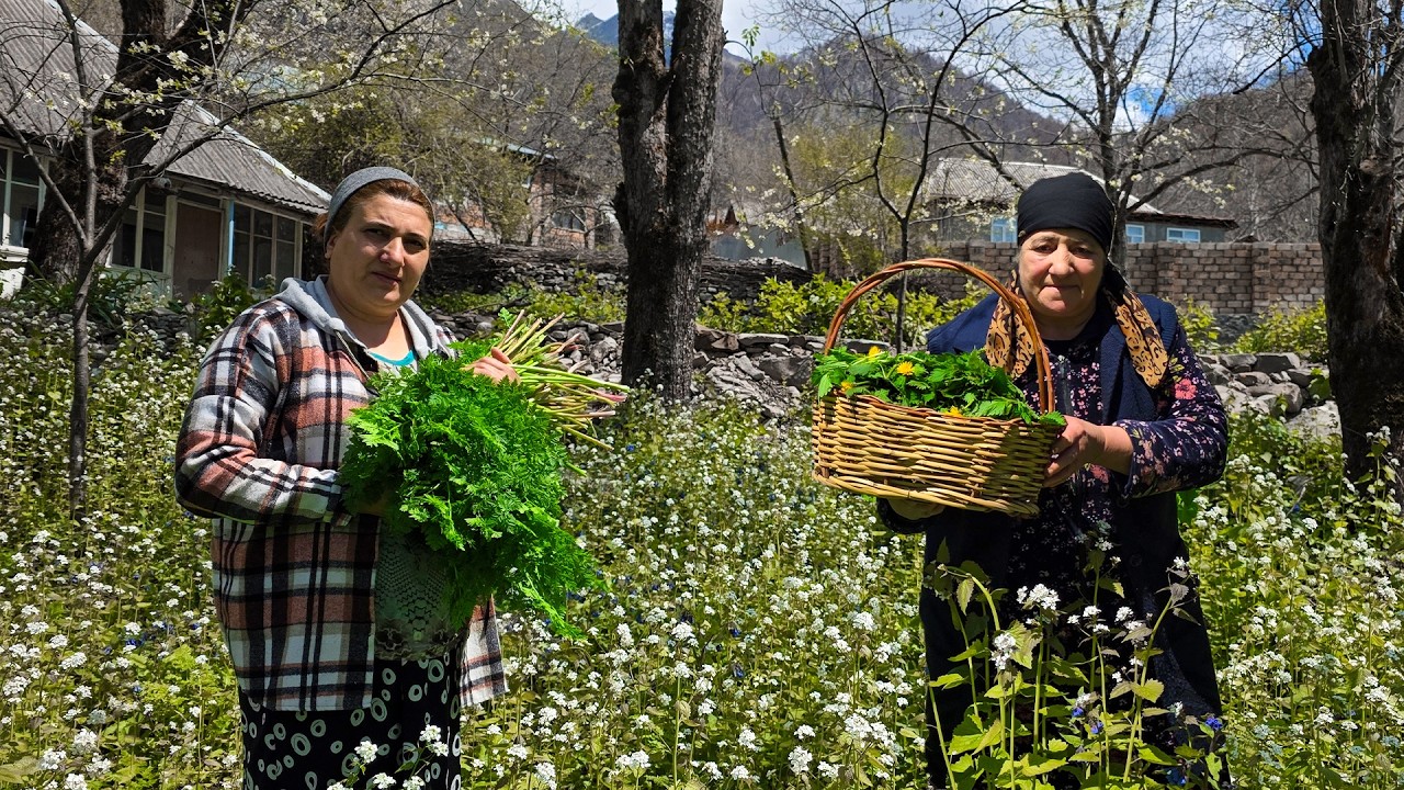 A Sunny Day in the Village: Gathering Fresh Wild Herbs | Relaxing Spring Routine