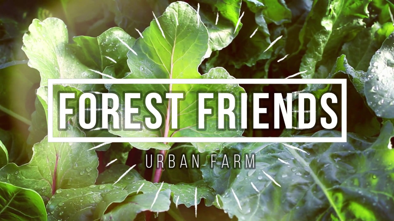 Supporting local farmers