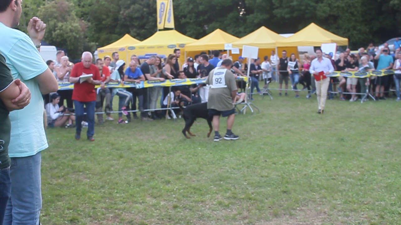 TAHI-REME ZEUS - AIAD Campionato 2019
