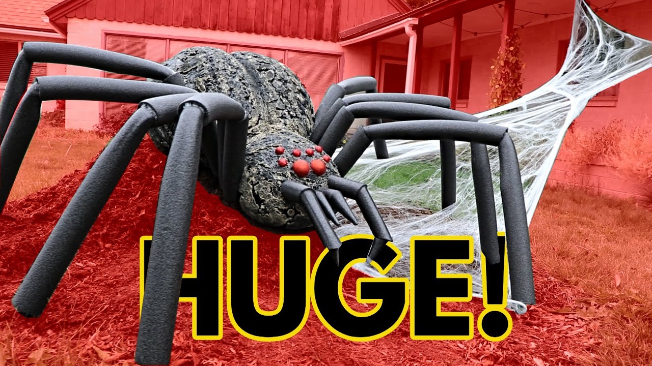 Vero Vi ❤️ ARAÑA GIGANTE CON FOAM PARA EXTERIORES | BIG SPIDER