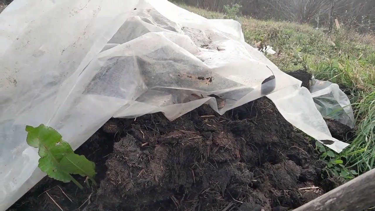 Šta sve sadrži stajsko đubrivo i kako se pravilno čuva