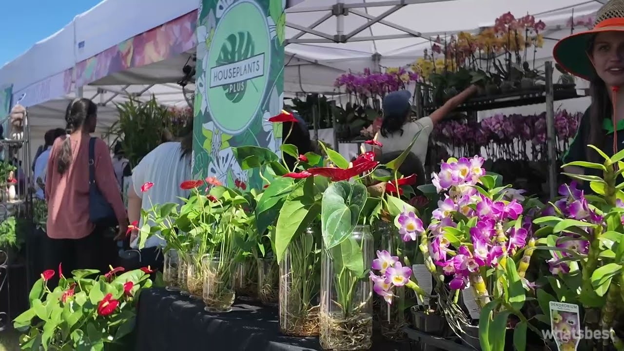 Rose Garden Show 2024 - Melbourne, Victoria
