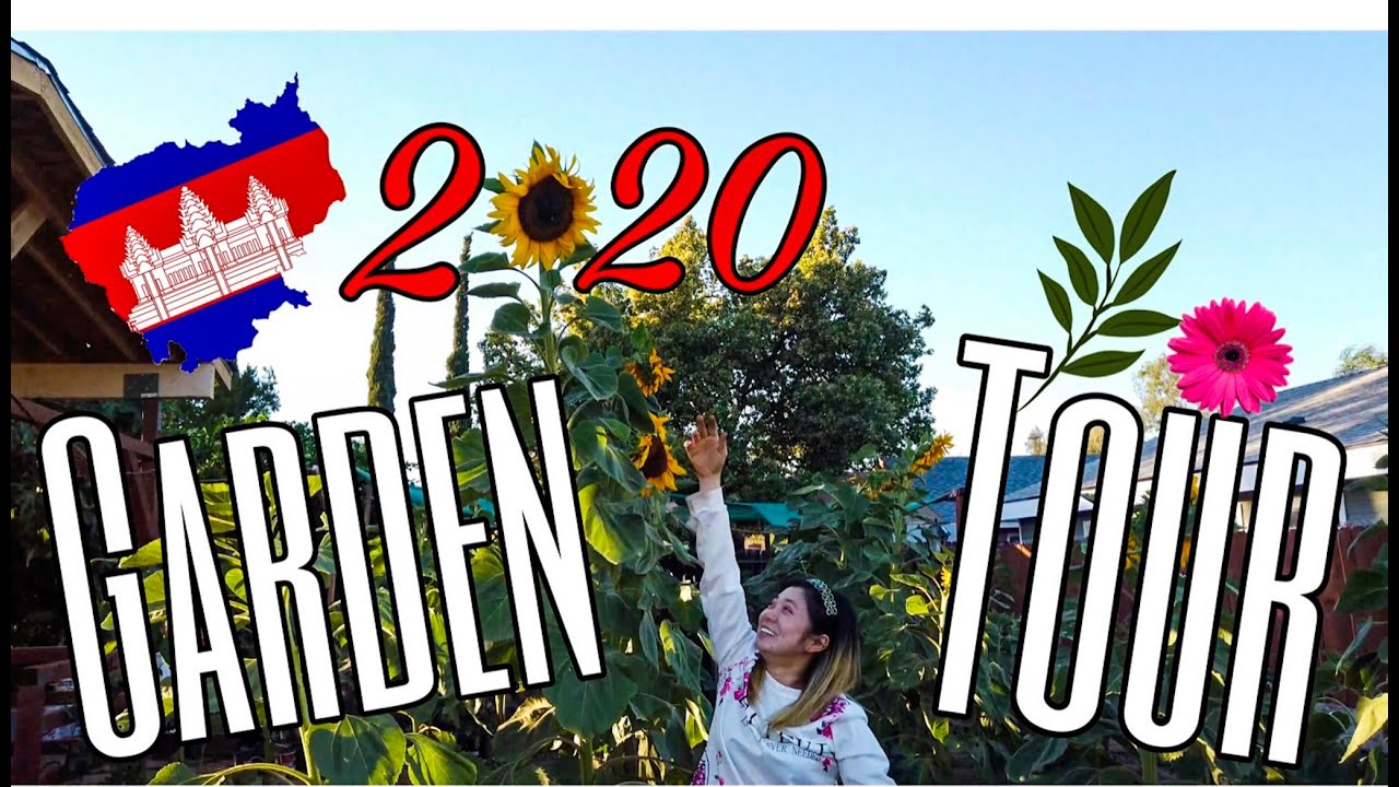 Cambodian Backyard Garden Tour 2020 | តើដំណាំក្រោយផ្ទះ​របស់​ខ្ញុំមានអ្វីខ្លះទៅ? 🇰🇭
