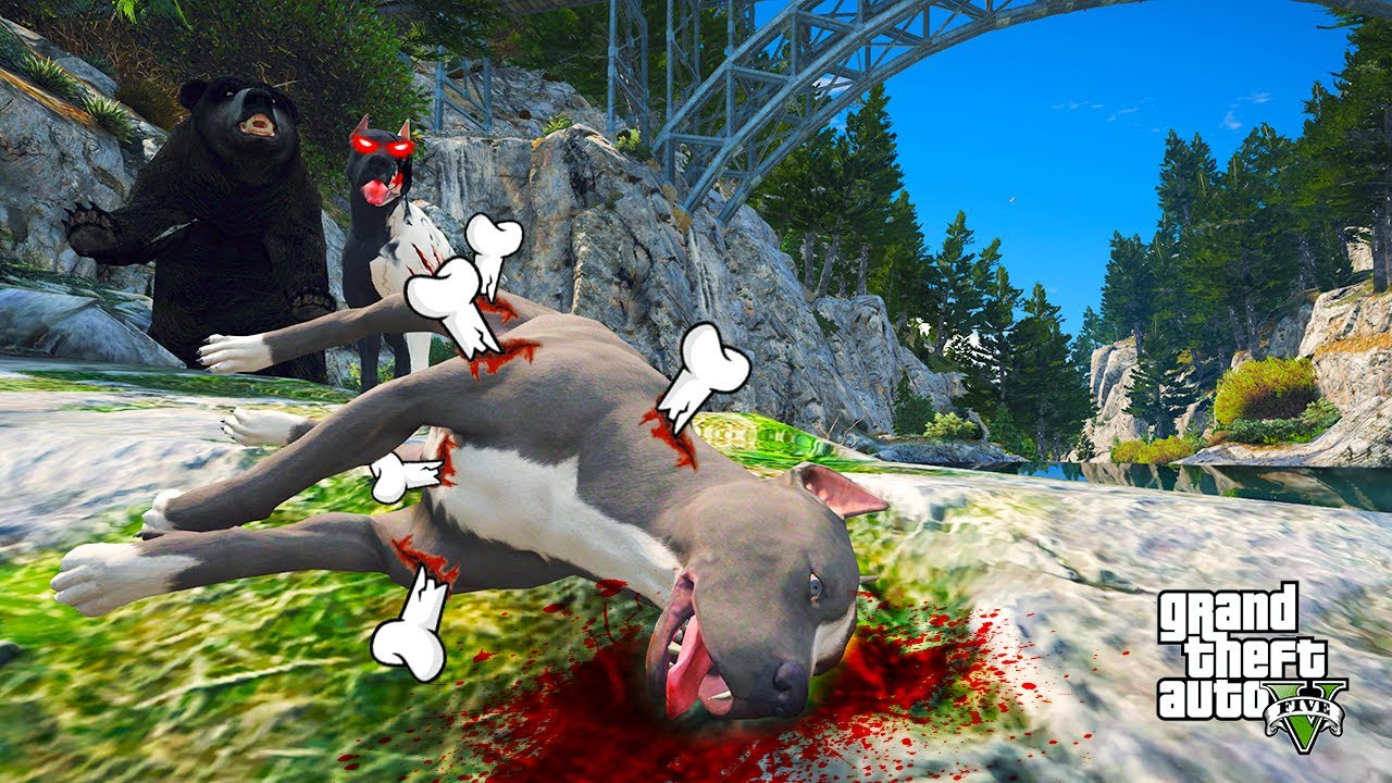 TERMİNATÖRÜN TÜM KEMİKLERİ NASIL KIRILDI? - GTA 5 PİTBULL'UN HAYATI