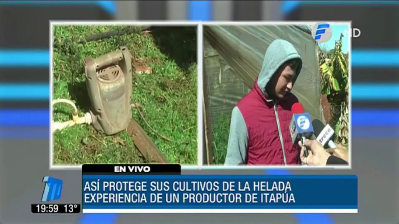 Así protege sus cultivos de la helada un ingenioso productor