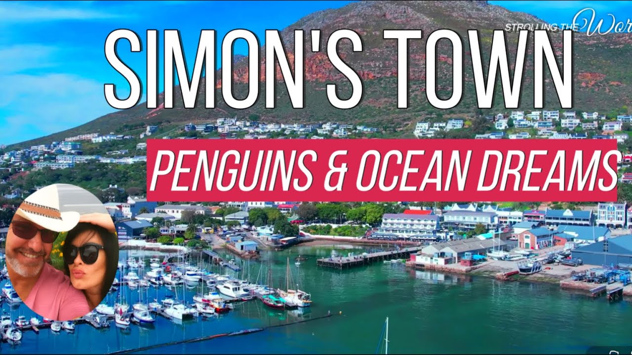 Simon’s Town Travel Guide | Penguins, Shark Diving, Beaches & History. 4K Video