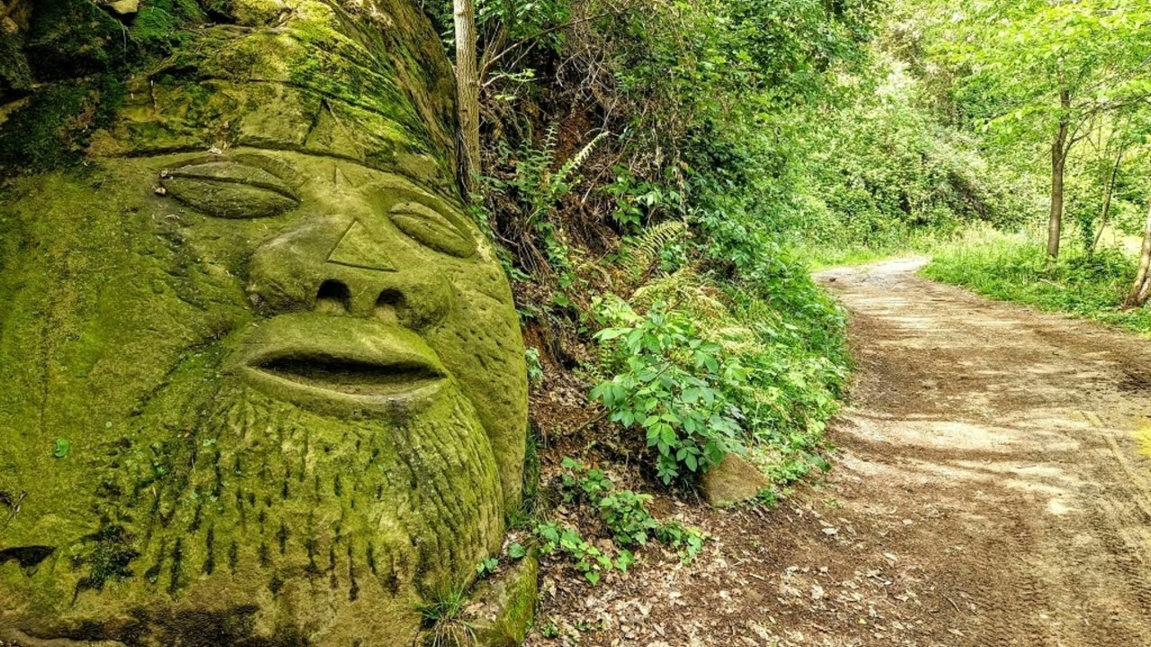 Passeggiata nel bosco