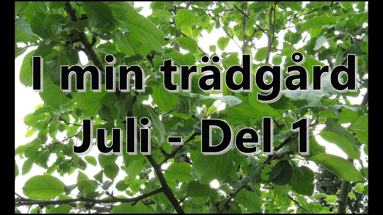 I min trädgård