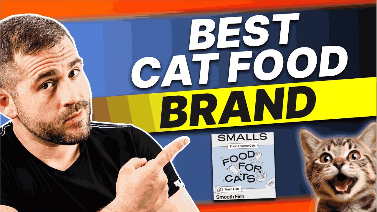 The Best Cat Food Brand: Smalls Cat Food Review 2026