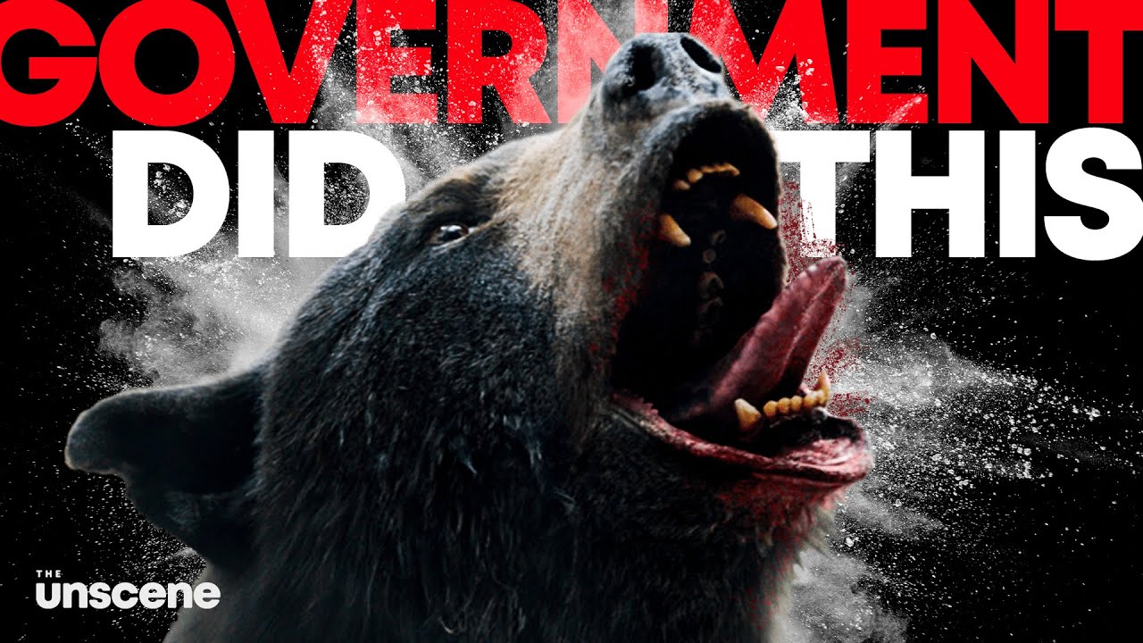 The Preventable Tragedy of Cocaine Bear