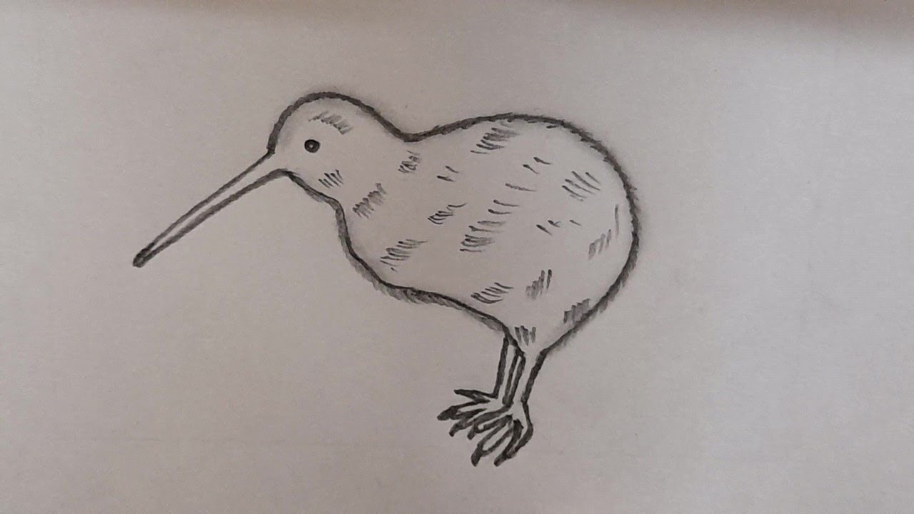SUNDAY DRAWING TRICK🙋&zwj;♀️HOW TO DRAW A KIWI BIRD CAN LEARN THIS DRAWING😍EASY DRAWING👍@TamilNewArt