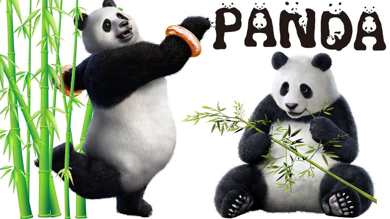 Panda Move List (Command List) | Tekken 7 Season 5 (Patch 5.10) | HD 60 FPS