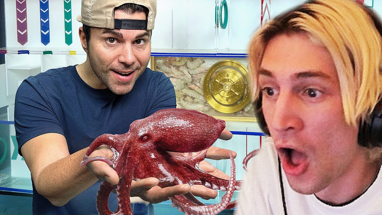 Octopus vs Underwater Maze | xQc Reacts to Mark Rober