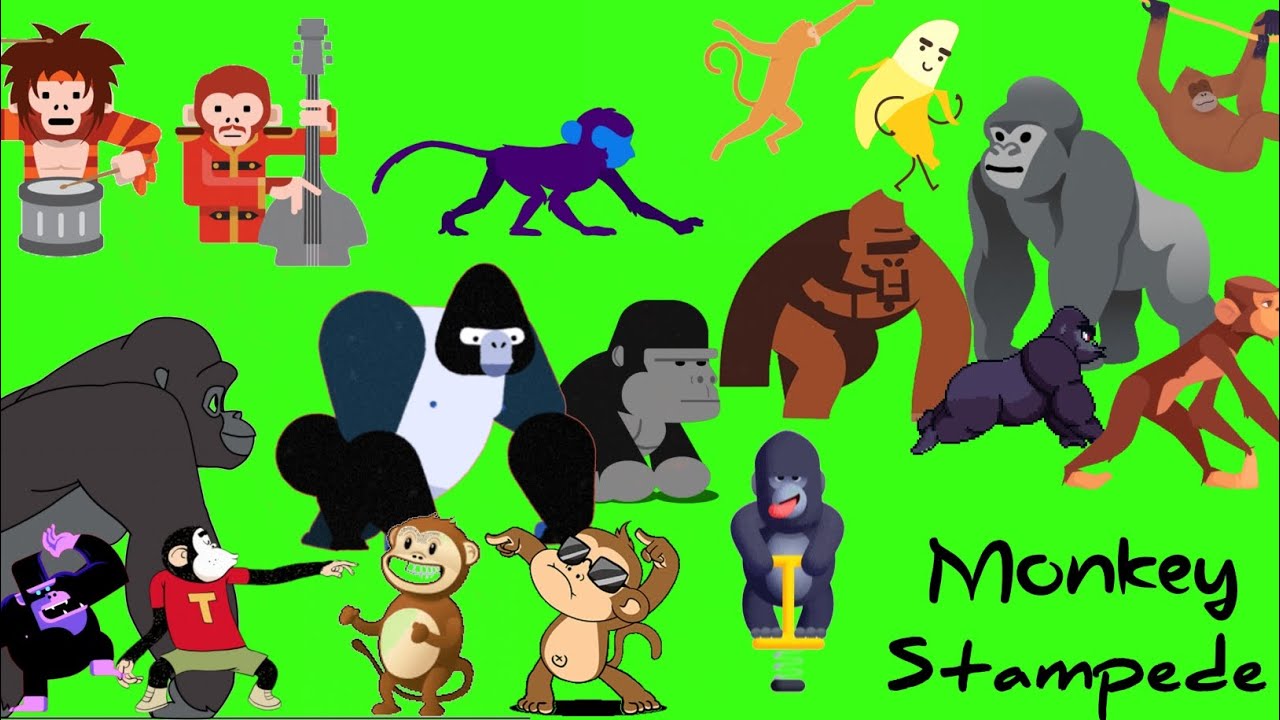 animal stampede part - 8 | monkey stampede green screen | gorilla version | monkey run