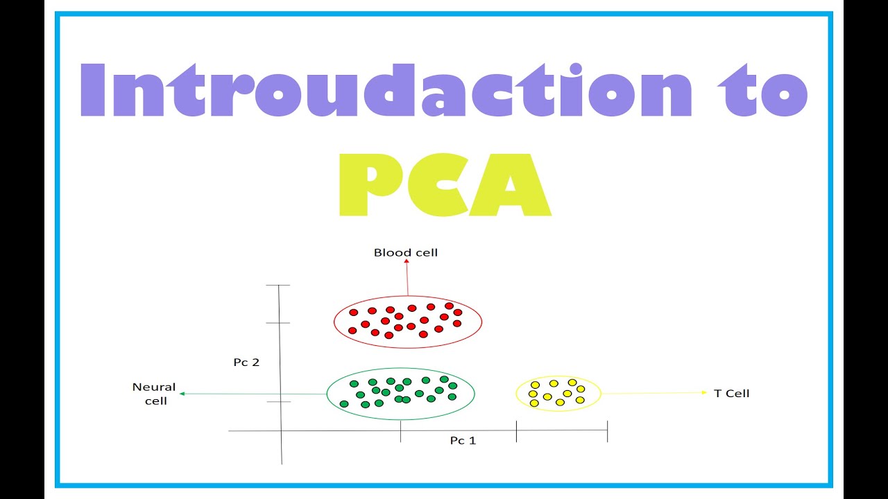 08| شرح تحليل المكونات الرئيسيه | (PCA) Principal component analysis