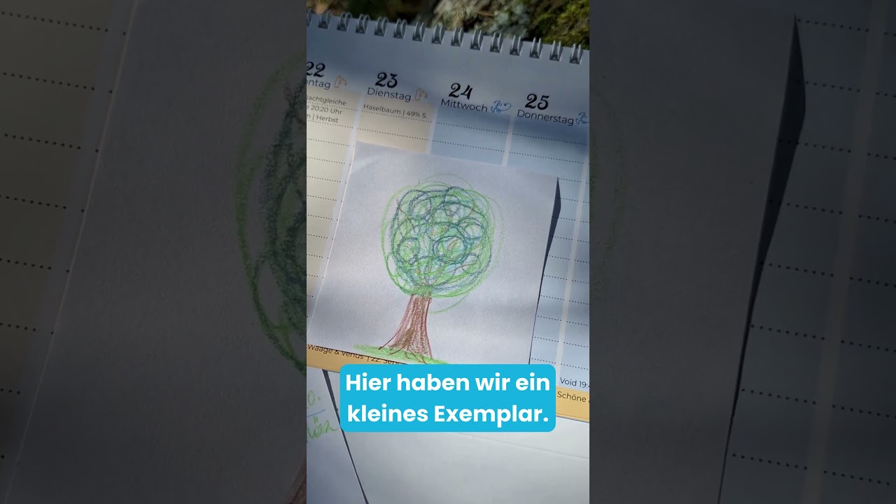 Tag-Nachtgleiche | 