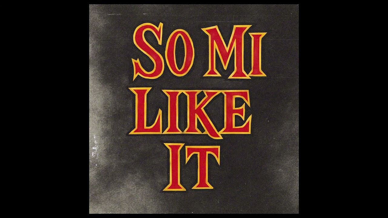 Spice - So Mi Like It (BOMBASTIC, JAHMO & FD 2025 REMIX)