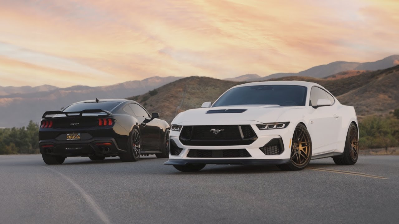 Yin & Yang S650's | Forgestar F14 / CF10