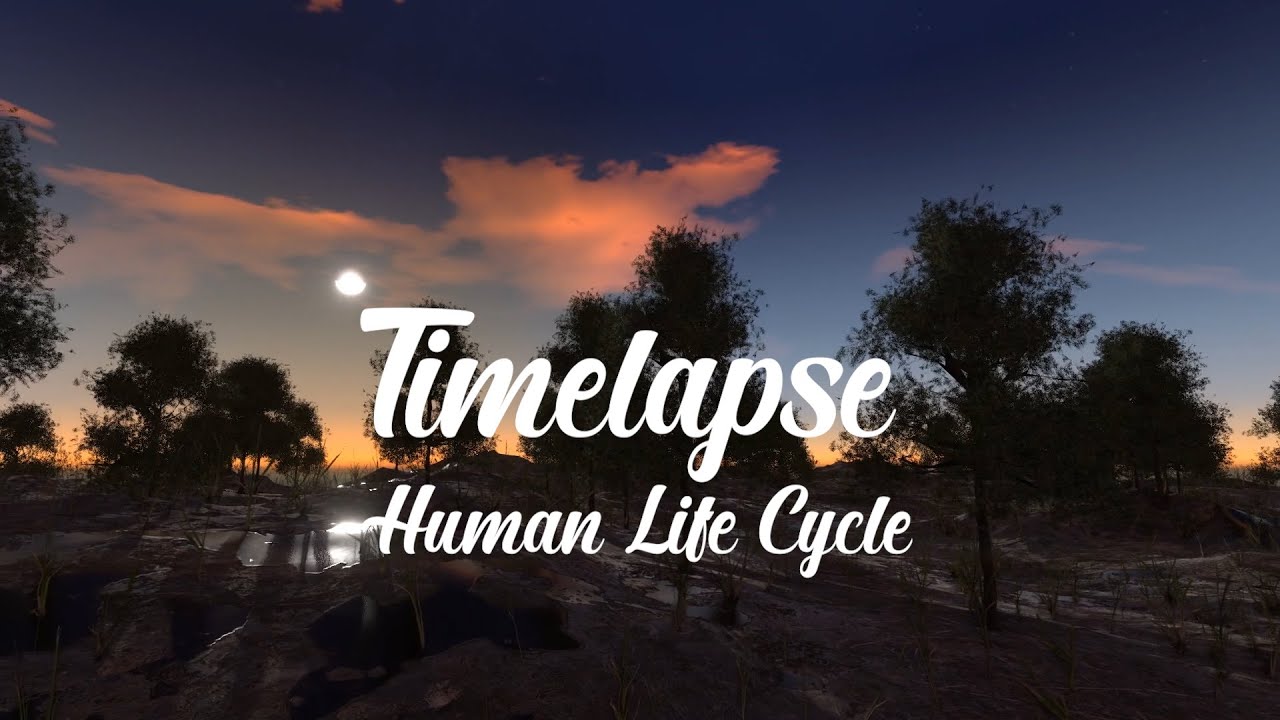 Timelapse : Human Life Cycle (Animation) #blender