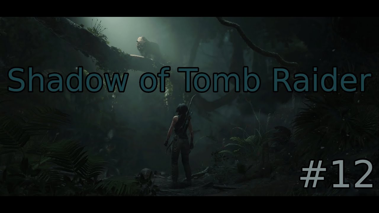 Dżona z RIGCZEM - Shadow of Tom Raider odc. 12