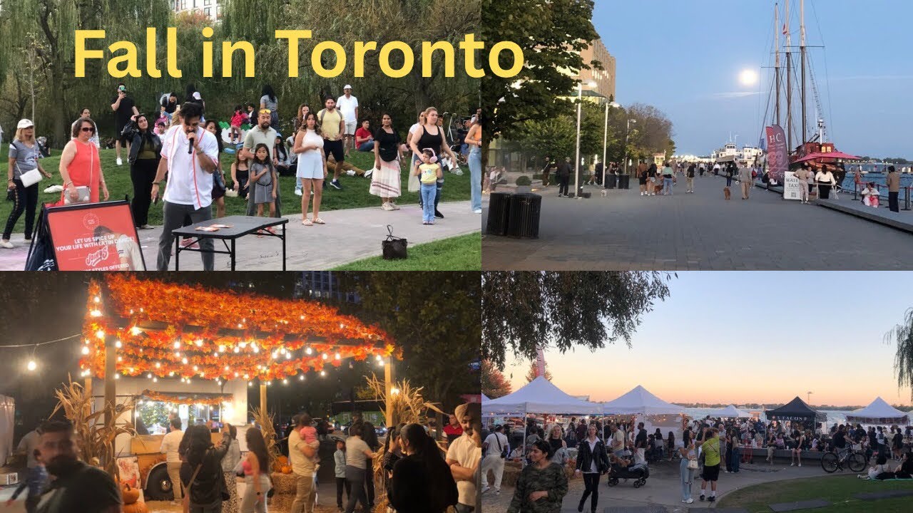 Fall in Toronto🇨🇦#canada #food #fall #nature #travel 
