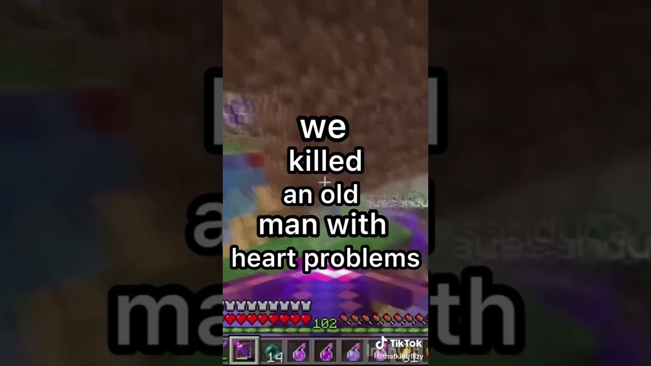 if technoblade had a 30 second trailer