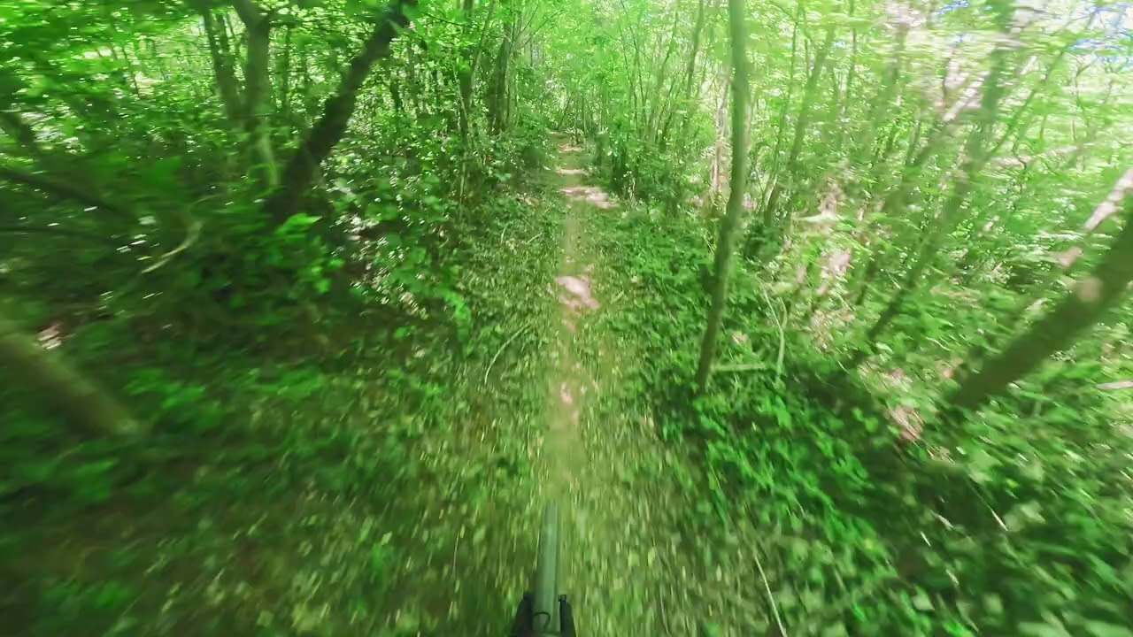 Montello e-bike Elk Line pt 1
