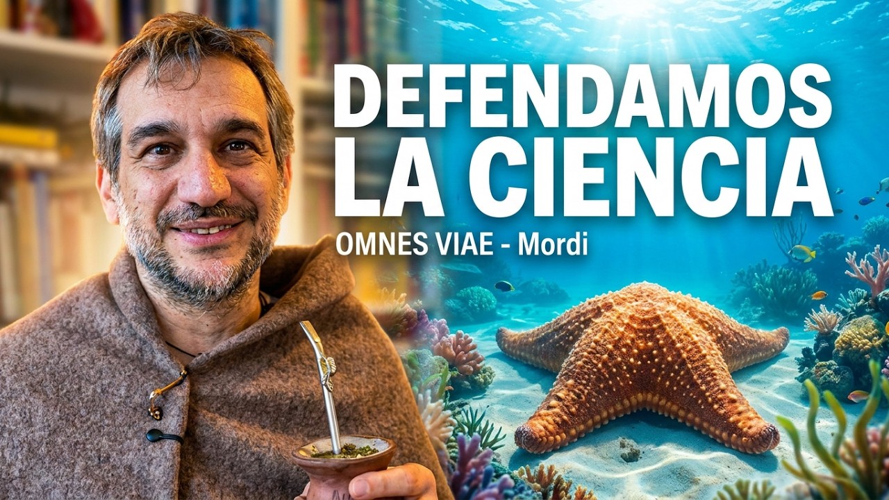 Qué belleza, el streaming de 