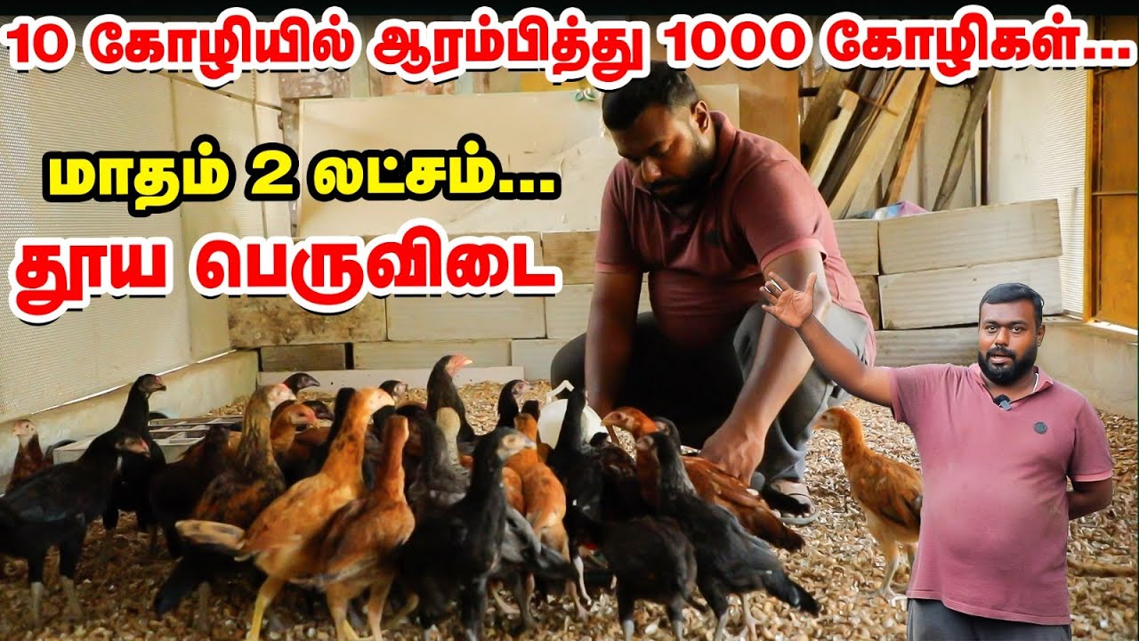 நான் ஏன் தூய பெருவிடை தேர்வு செய்தேன் தெரியுமா? | Peruvidai Valarppu