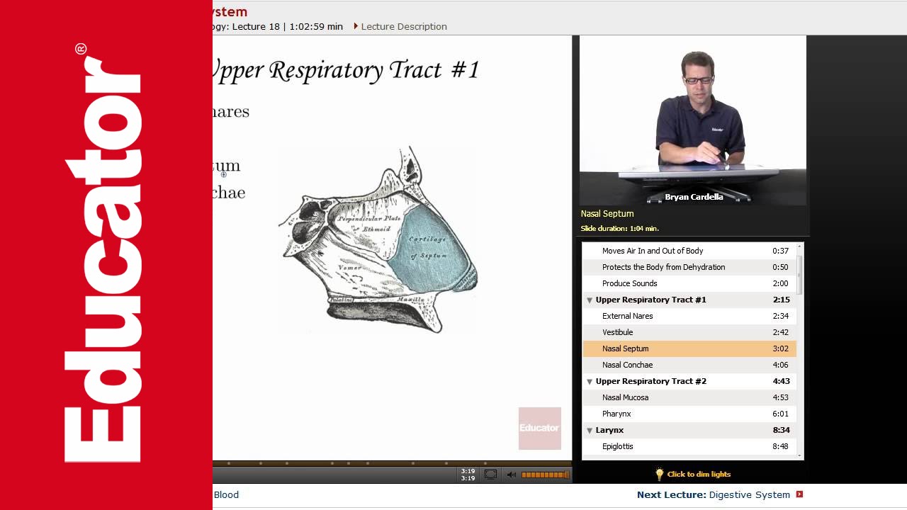 The Respiratory System