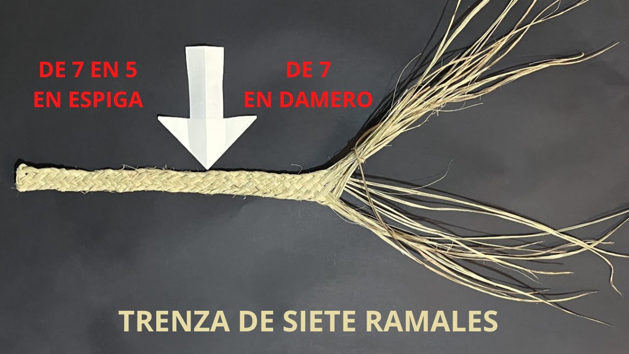 17-. Esparto . Crineja/Recincho de 7 ramales. ¡Dos trenzados de 7 en 5 con espiga y de 7 en damero!