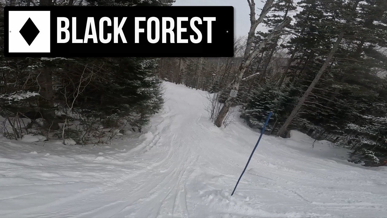 Black Forest - Black Mountain NH - Double Black Diamond